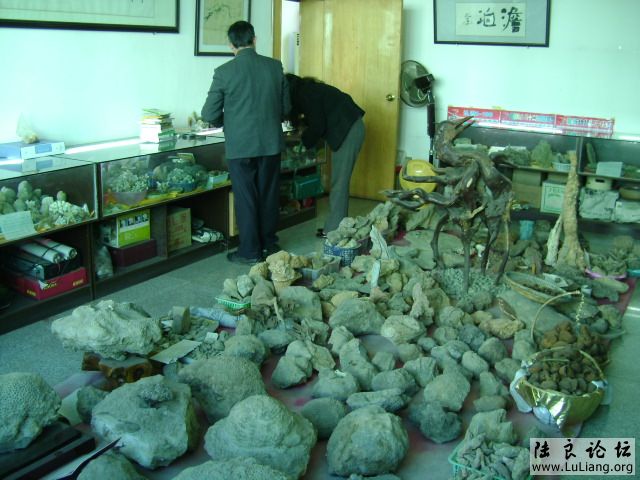DSC03764.JPG