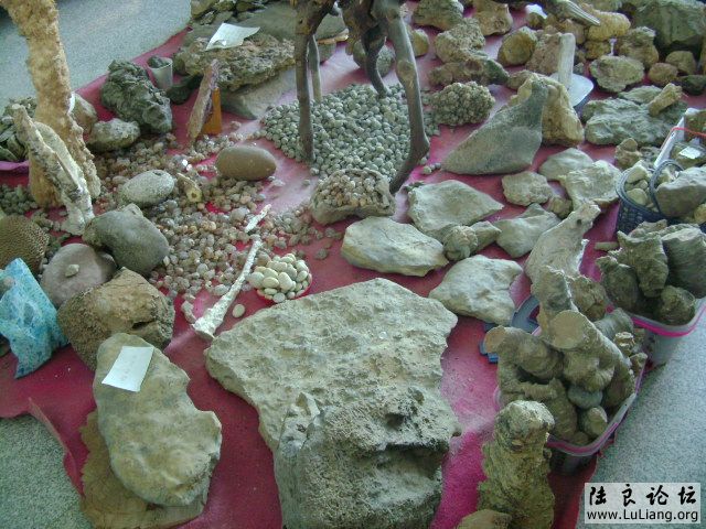 DSC03762.JPG
