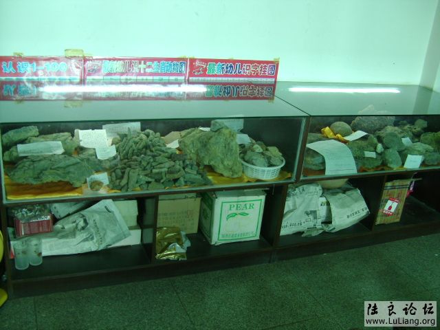 DSC03763.JPG