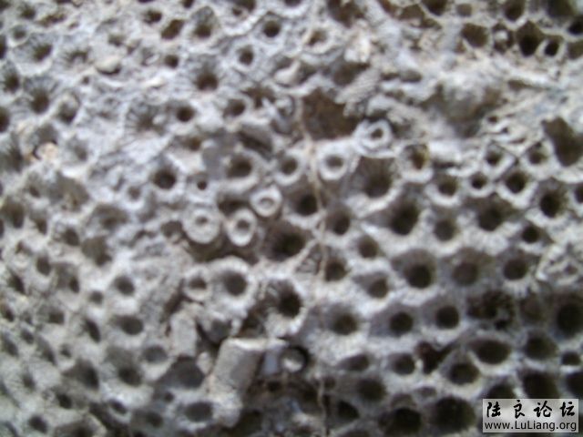 DSC03734.JPG