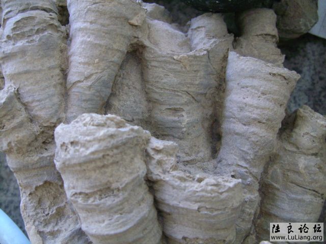 DSC03756.JPG