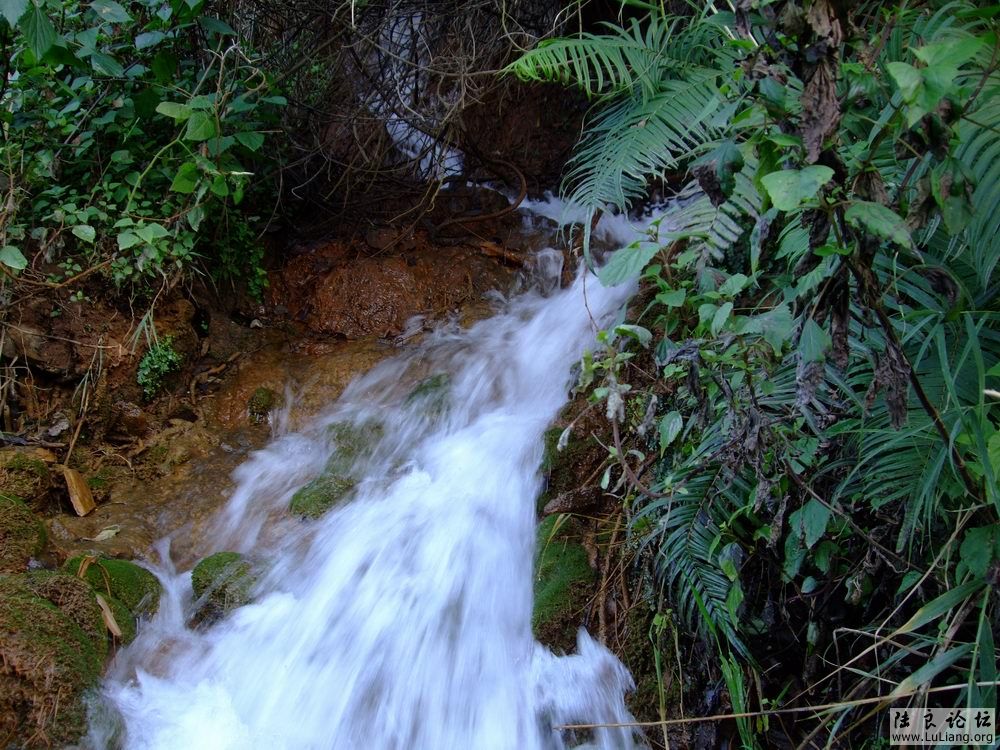 DSCF3236.JPG