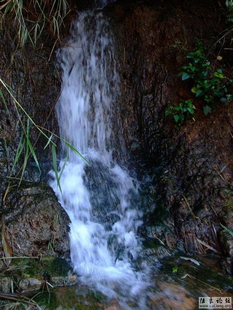DSCF3225.JPG