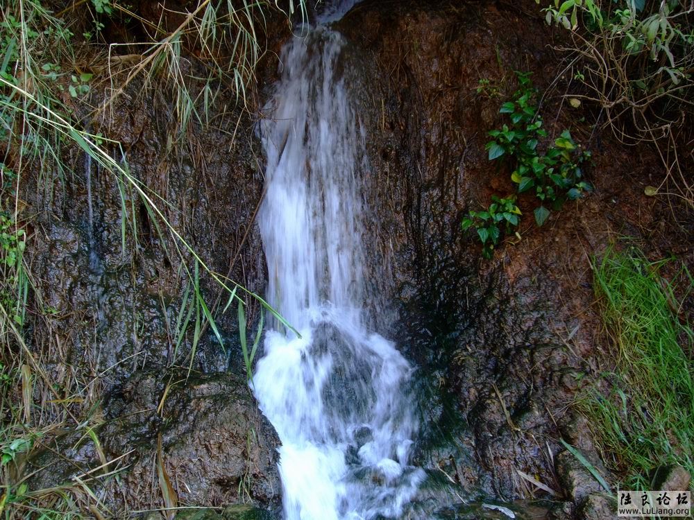 DSCF3226.JPG
