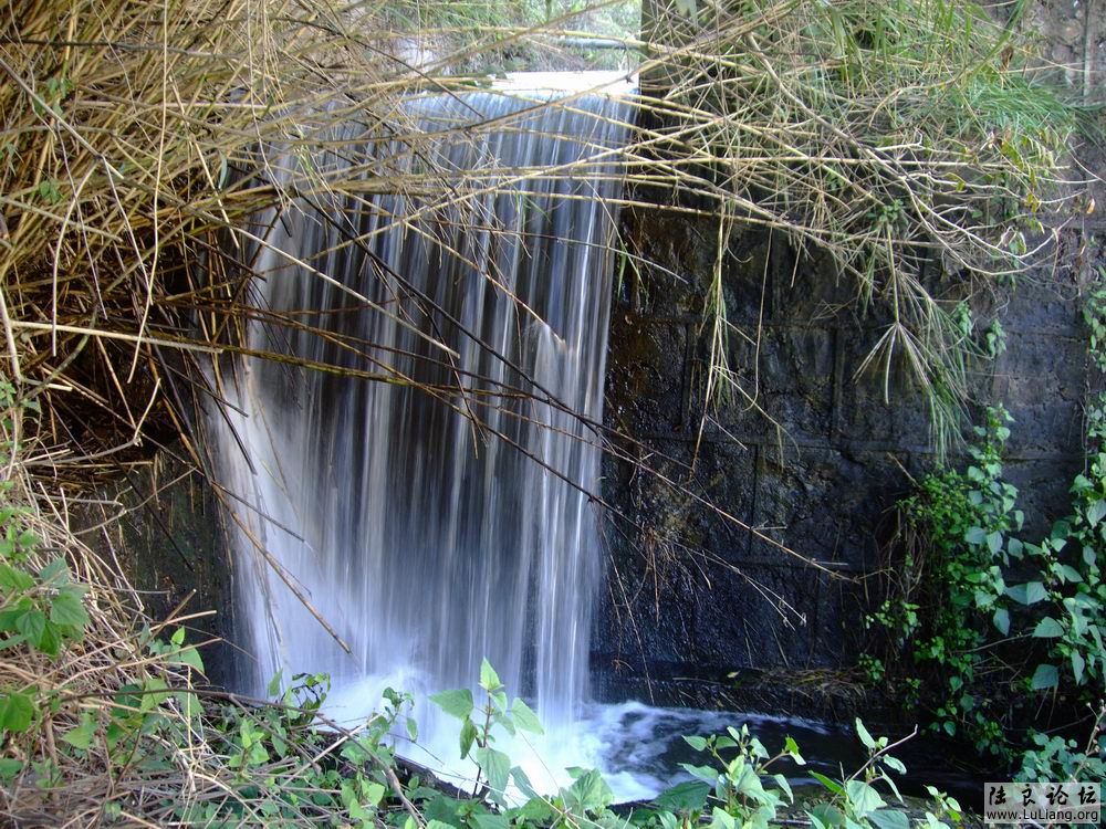 DSCF3234.JPG