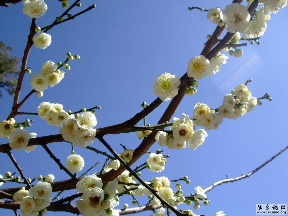 DSCF3047.JPG