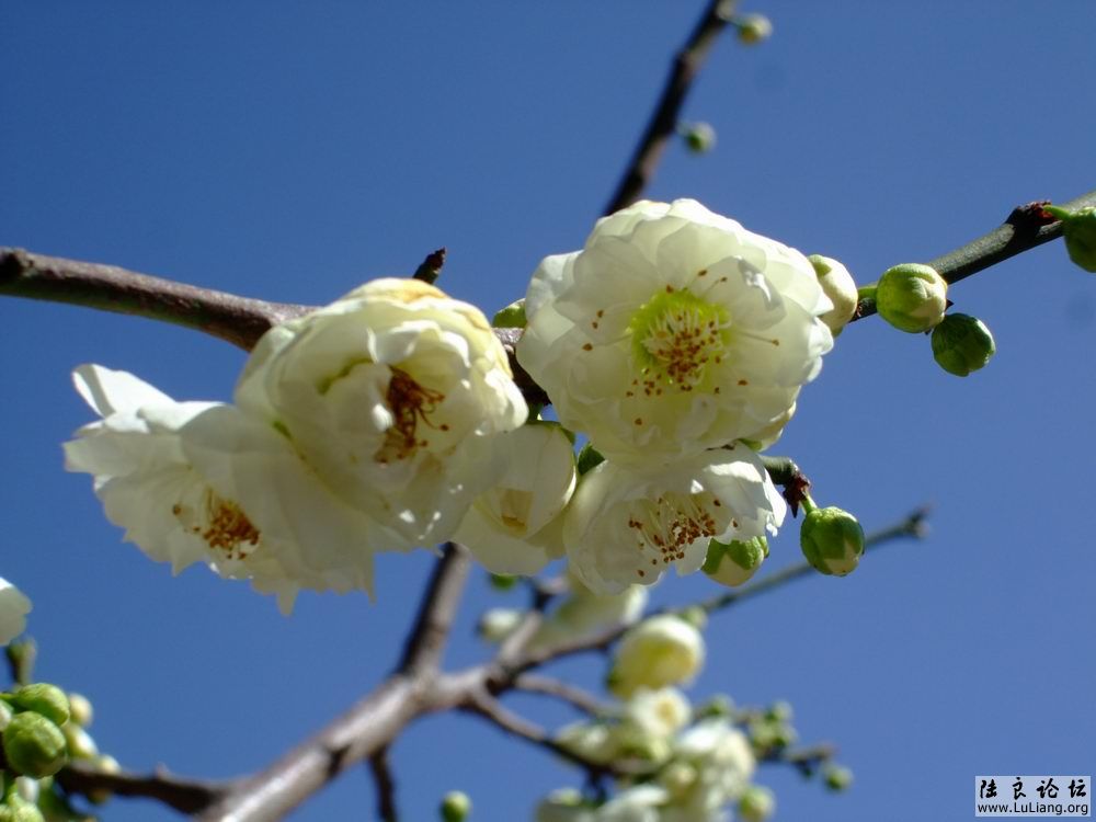 DSCF3049.JPG