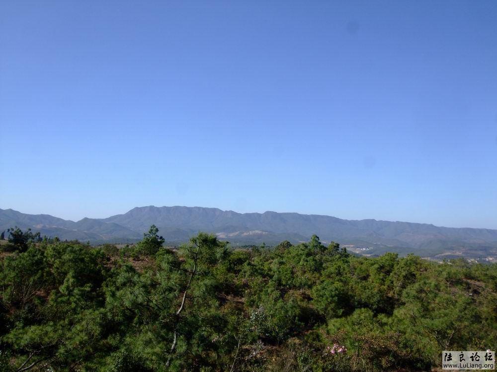 DSCF3150.JPG