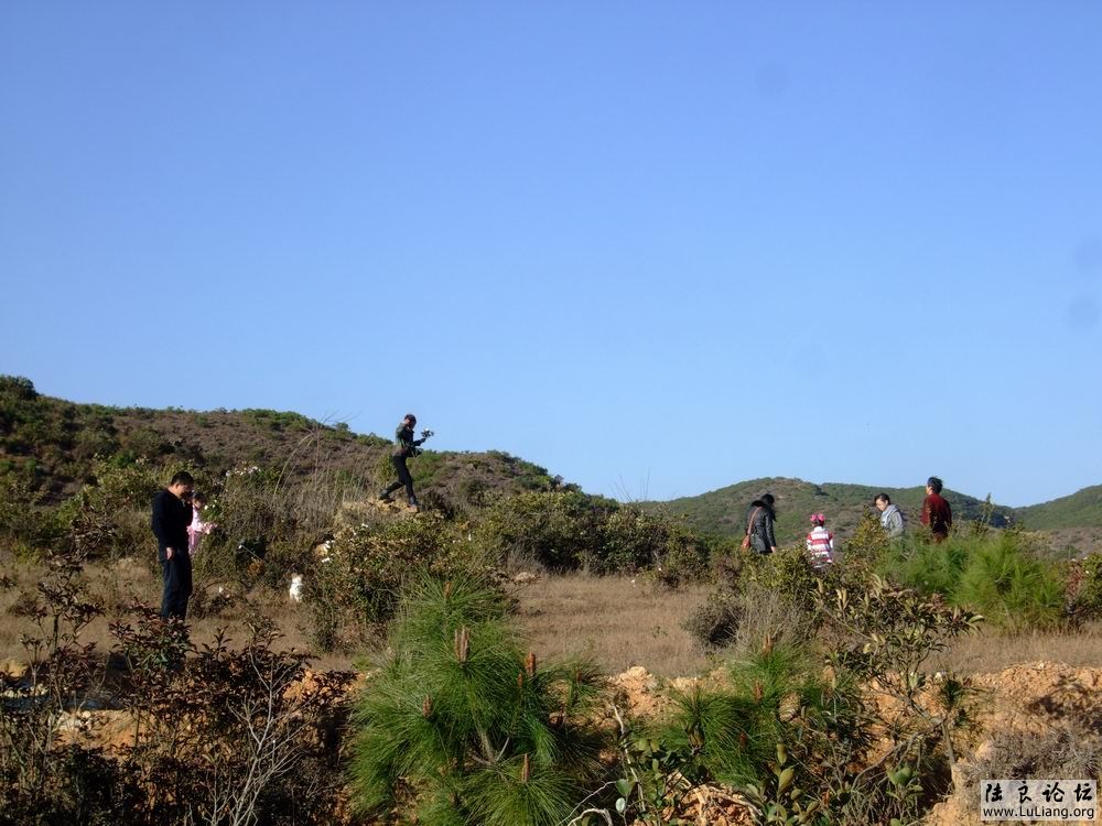DSCF3168.JPG