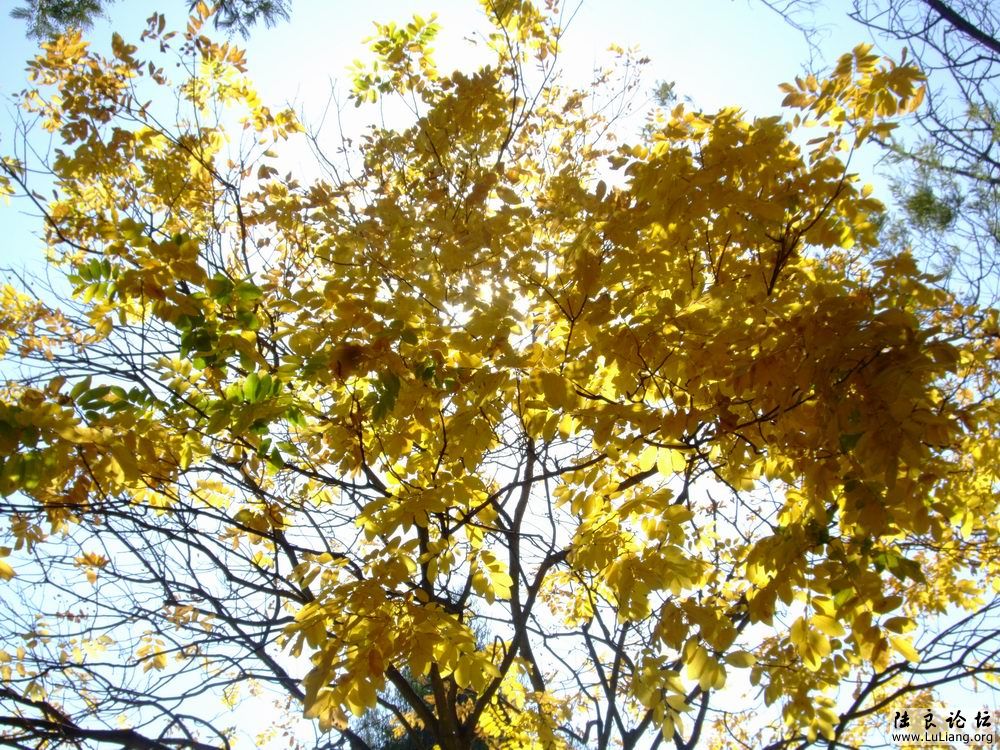 DSCF3189.JPG