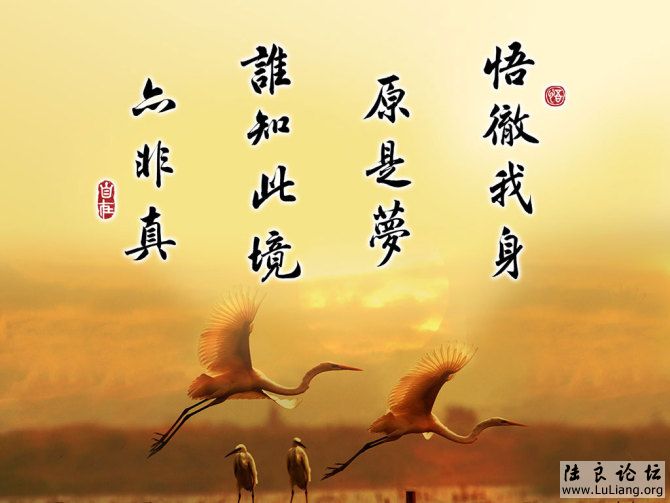 鷨1.jpg