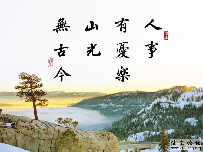 鷨4.jpg