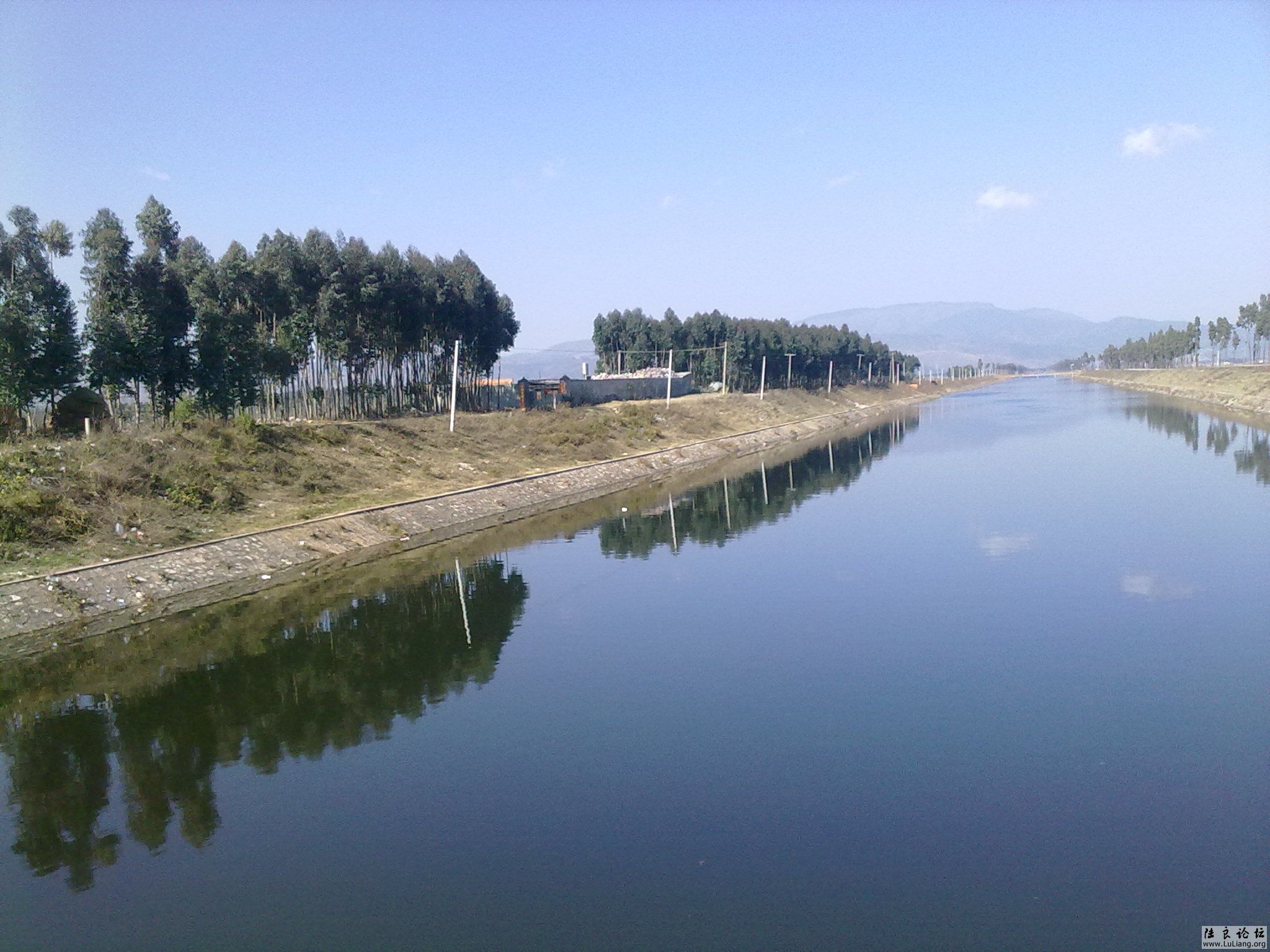 20110203194.jpg