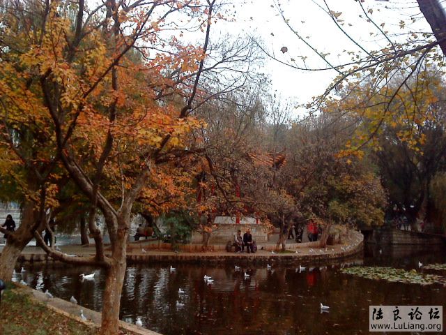 DSC04019.JPG