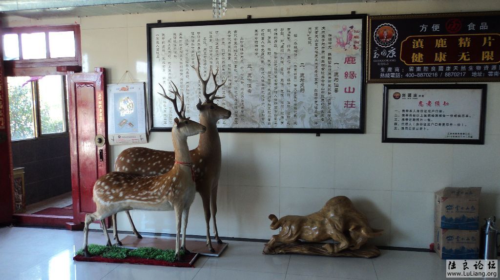 DSC01403.JPG