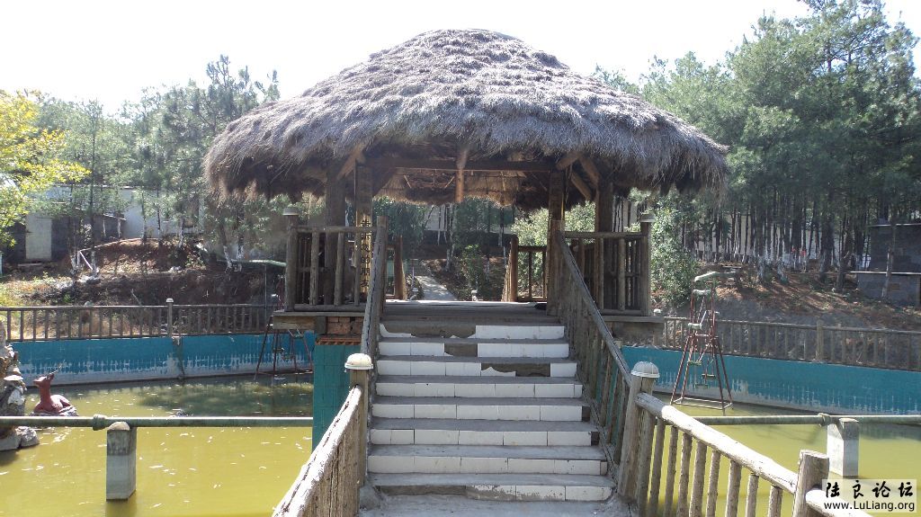 DSC01405.JPG