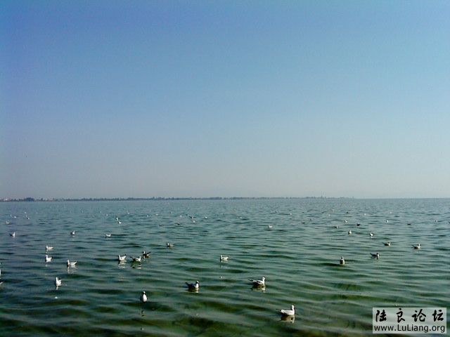 DSC00404.JPG