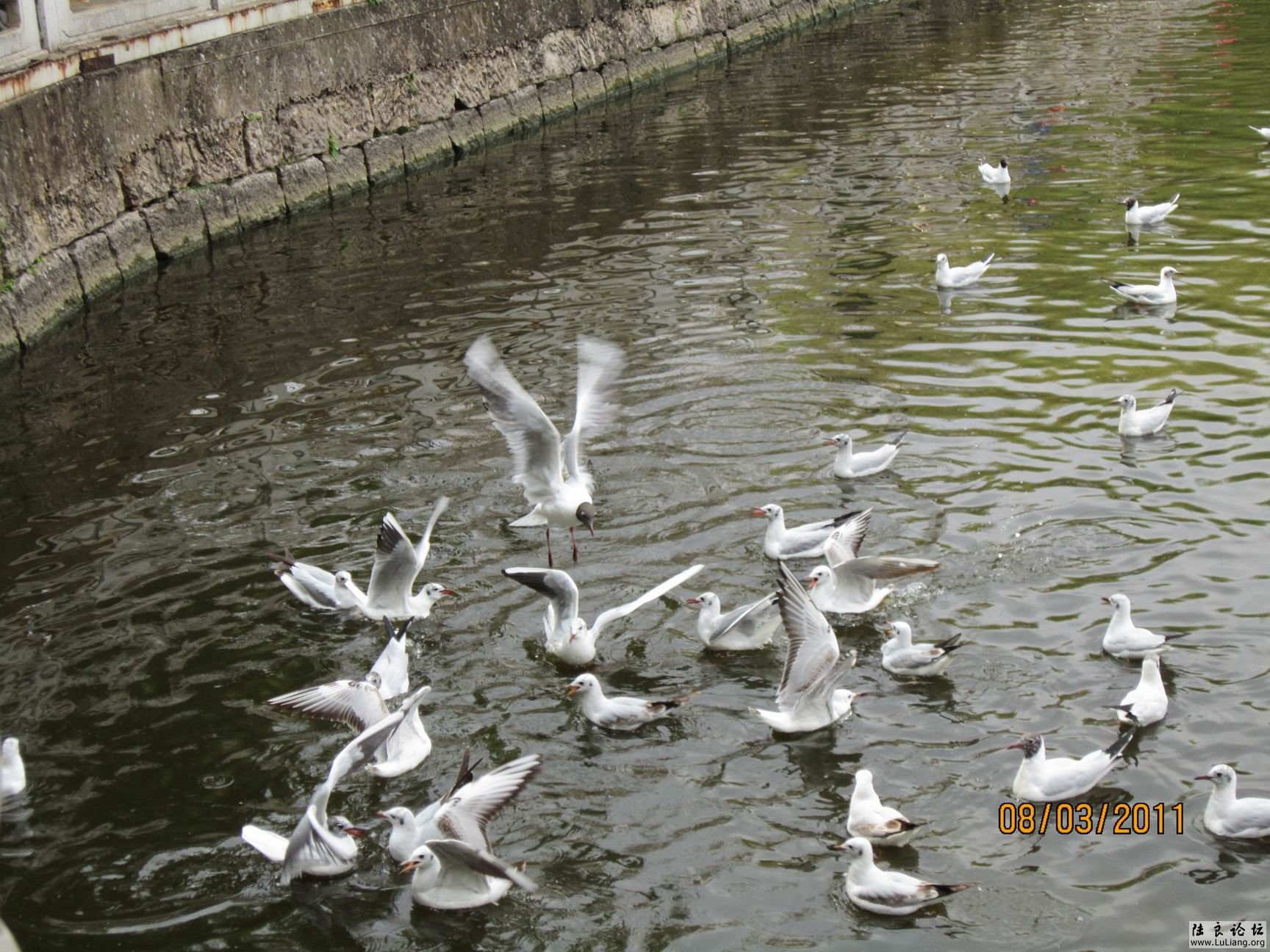 С IMG_0758.JPG