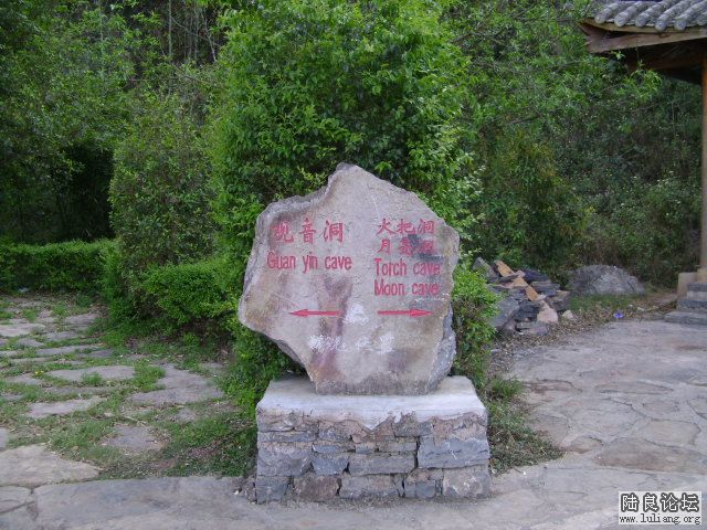 DSC03983.JPG