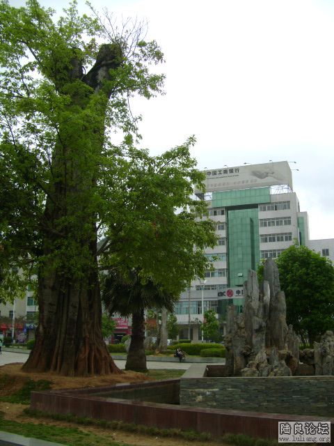 DSC04011.JPG
