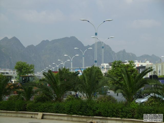 DSC04017.JPG