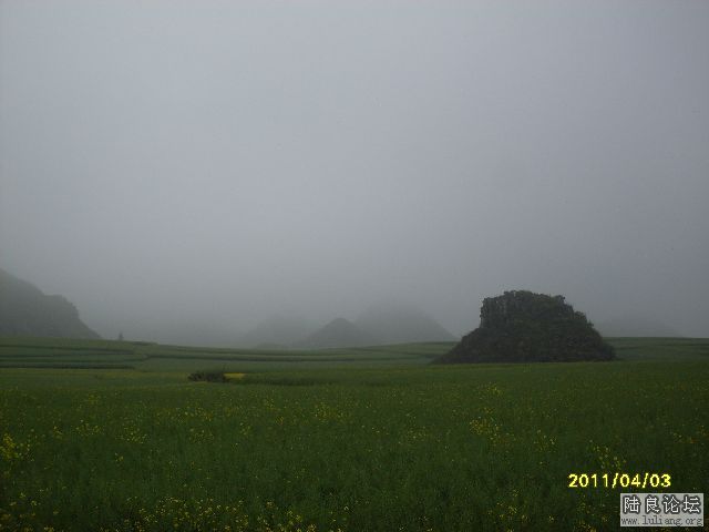 SDC10002.JPG
