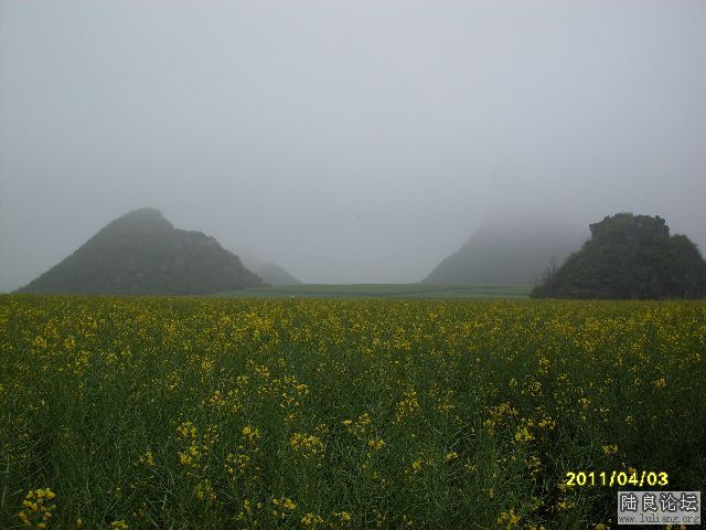 SDC10010.JPG