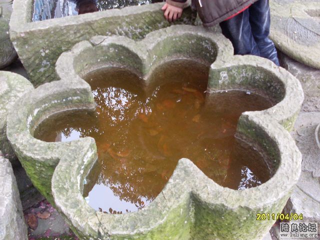 SDC10036.JPG
