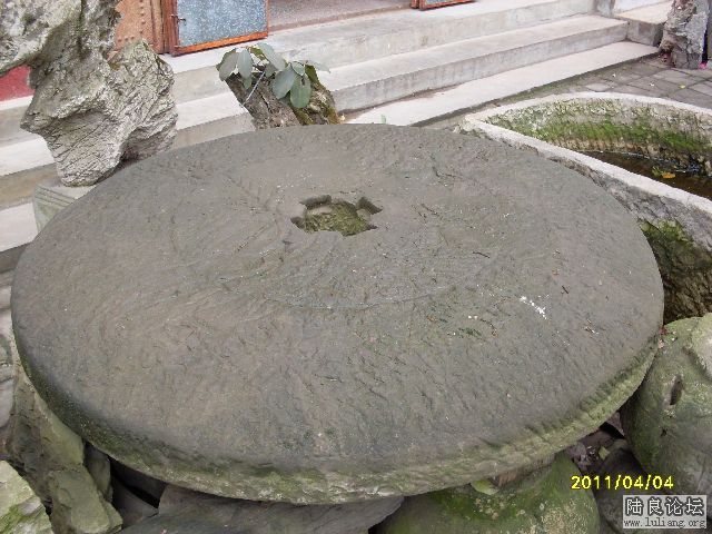 SDC10037.JPG