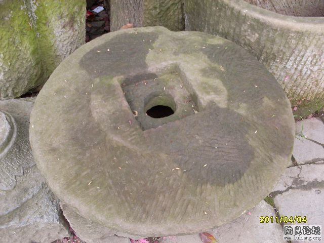 SDC10038.JPG