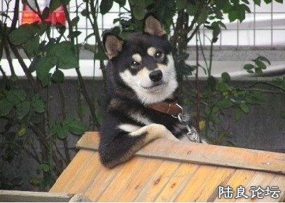 121398773_91n - .jpg