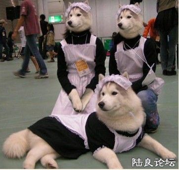 121398773_261n - .jpg