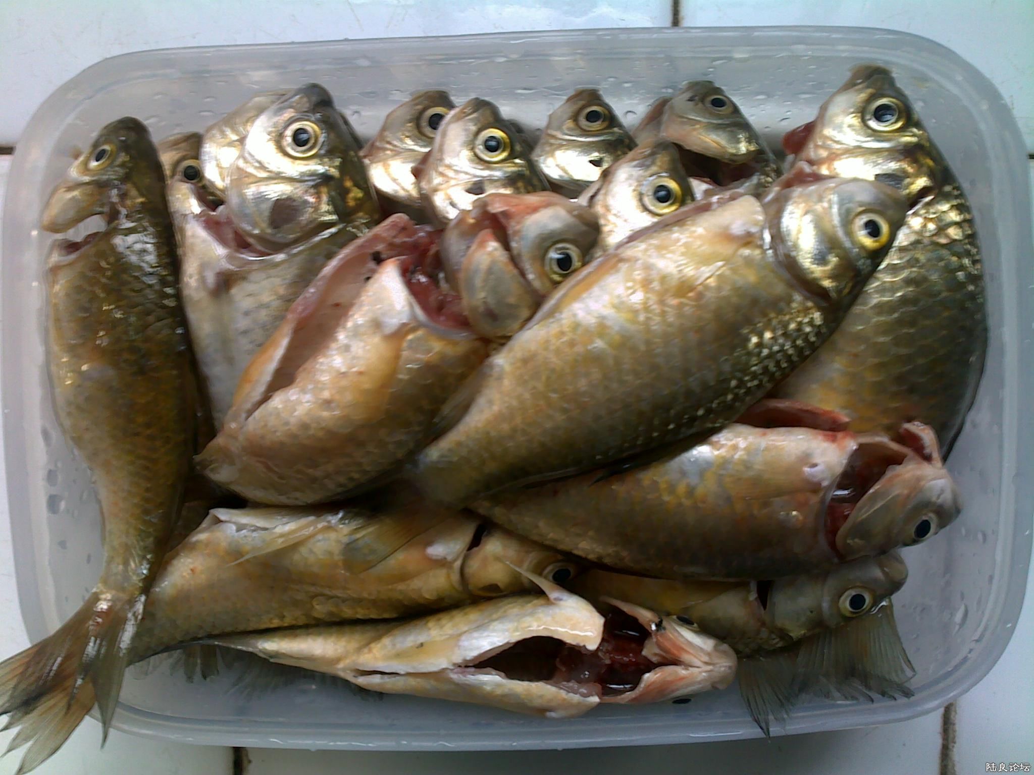 20110529013.jpg