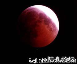 000d8780198a0f63a9fa04.jpg