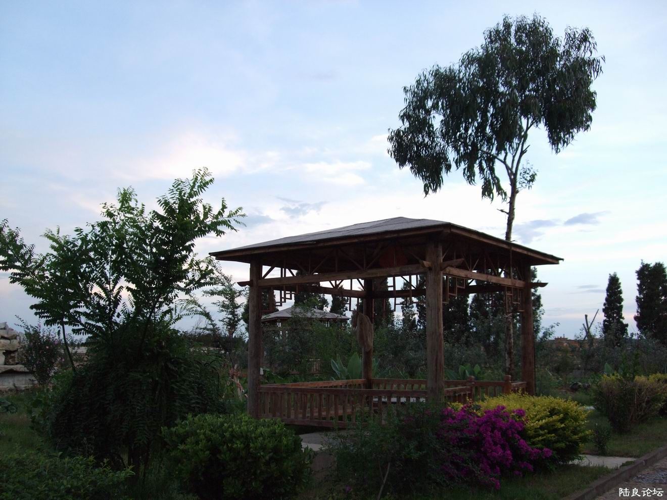 DSCF7151.JPG