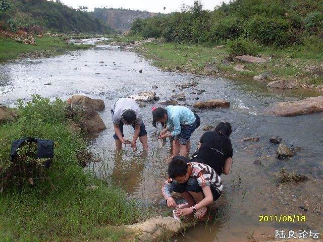 SDC10144.JPG