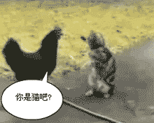 27.gif