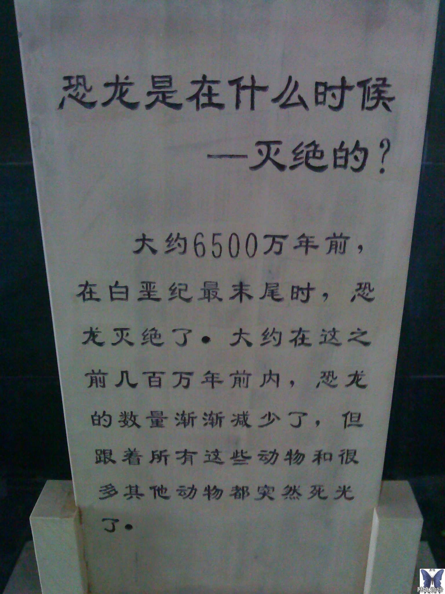 nEO_IMG_DSC01092.jpg