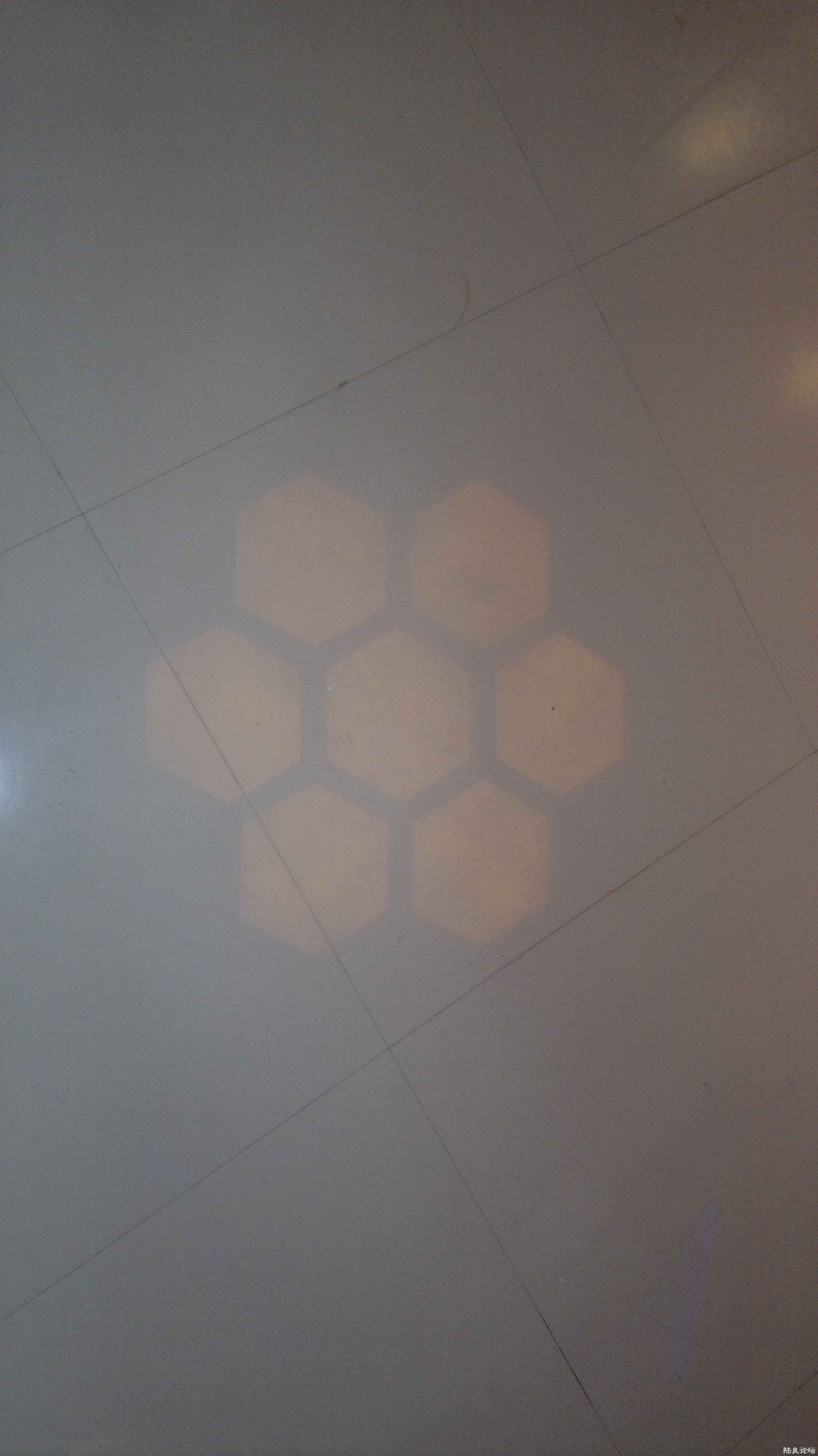 20110708144.jpg