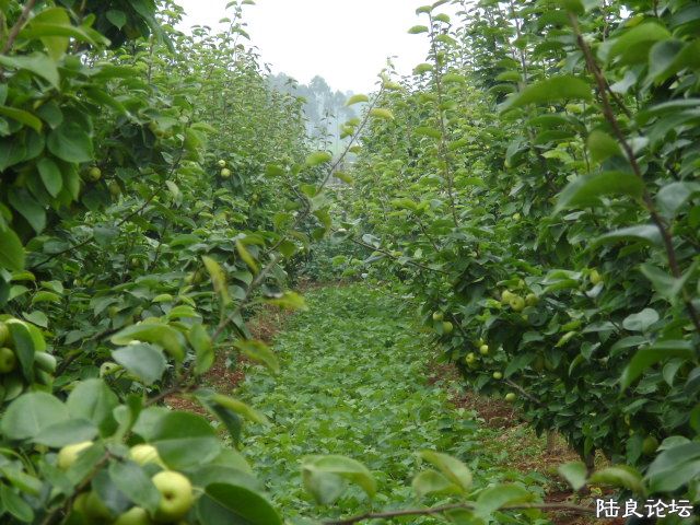 DSC04818.JPG
