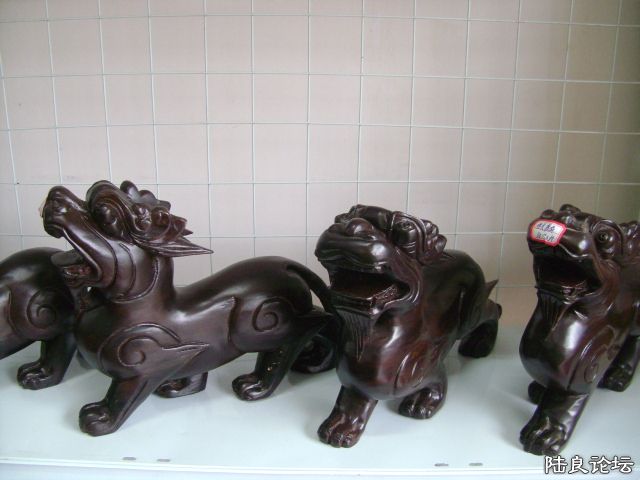 DSC04890.JPG