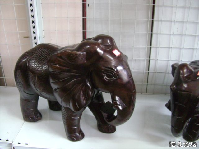 DSC04896.JPG