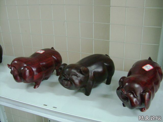 DSC04897.JPG