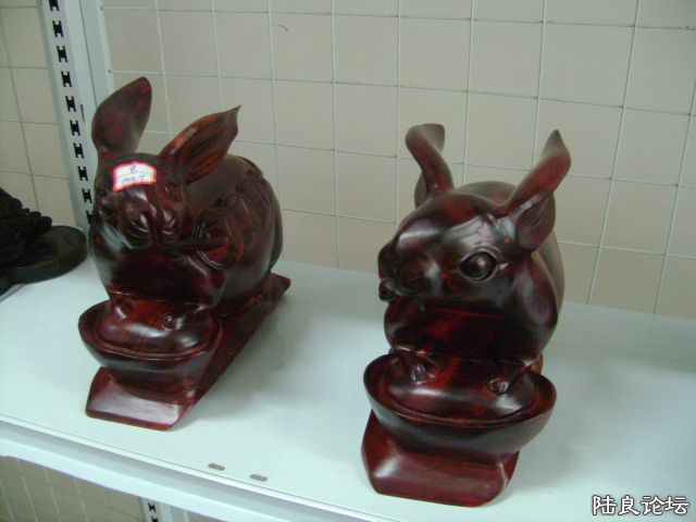 DSC04898.JPG