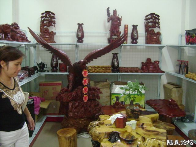 DSC04912.JPG