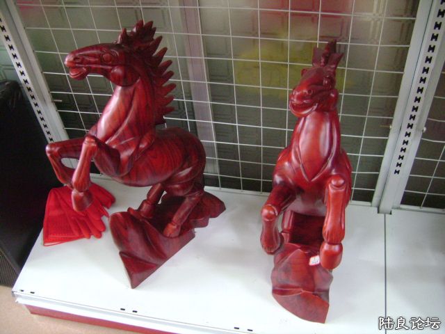 DSC04919.JPG