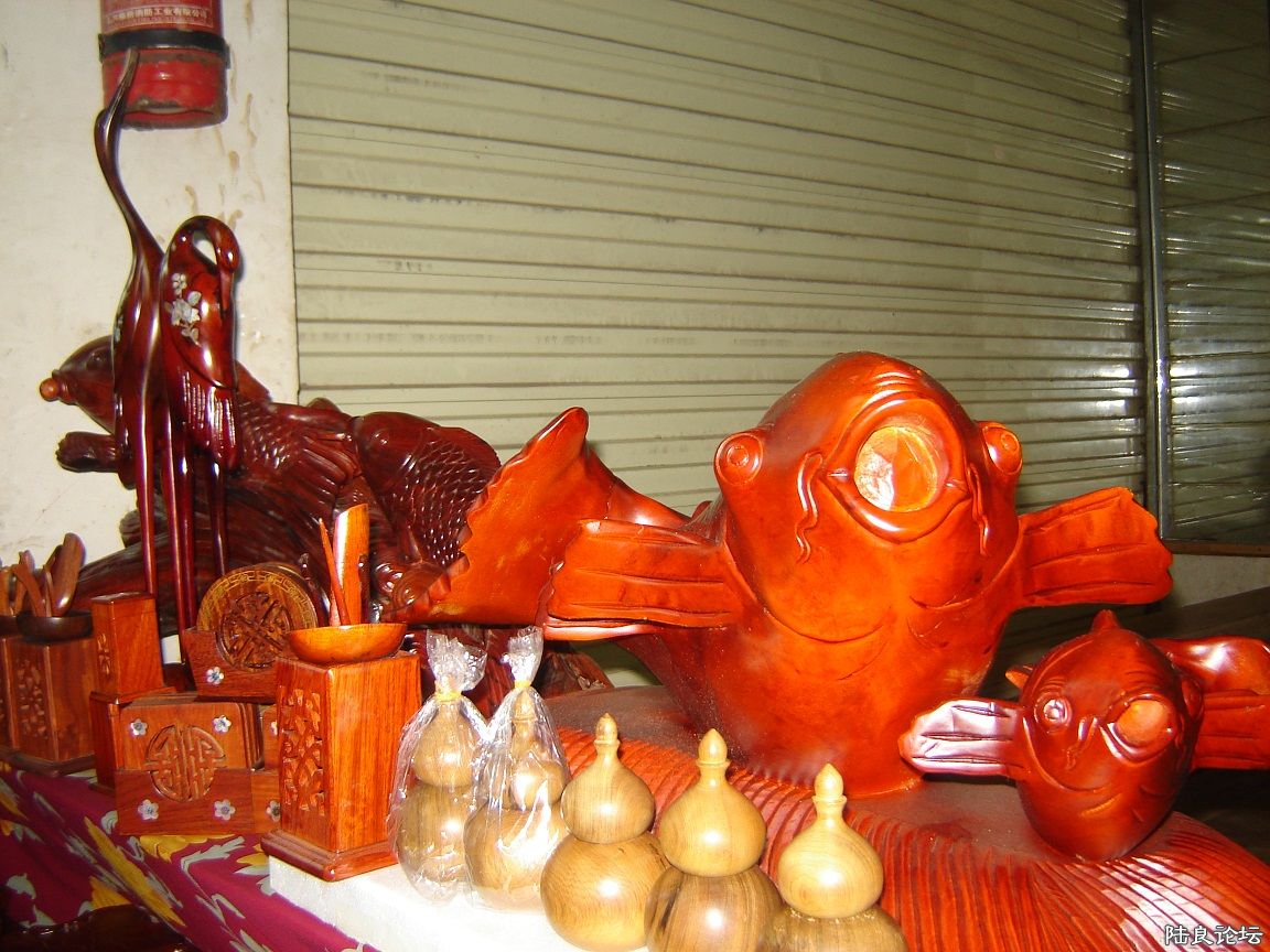 DSC00095.JPG