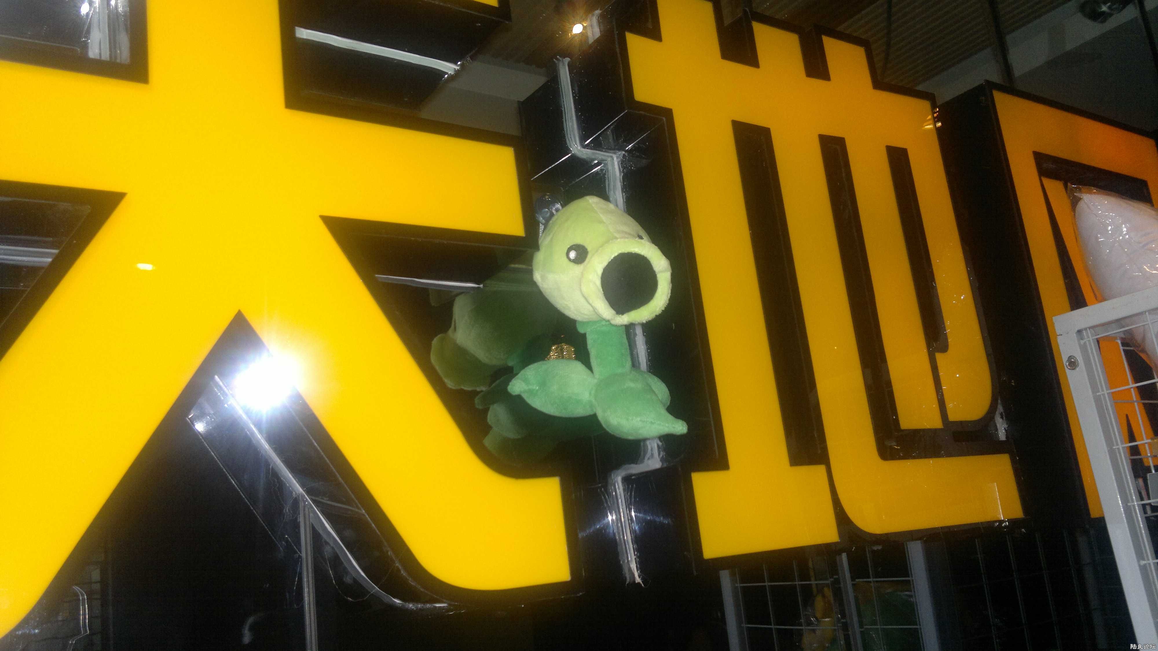 20110728219.jpg
