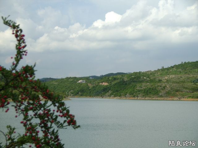DSC05045.JPG