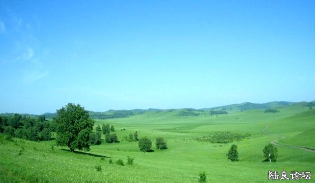 2008523102650639.jpg